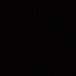 Meet your Posher, Mickey